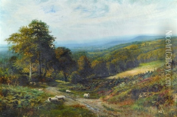 Looking Across Haslemere Oil Painting - George Vicat Cole