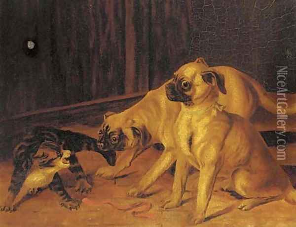 Up to mischief, two pugs with a kitten Oil Painting - English School