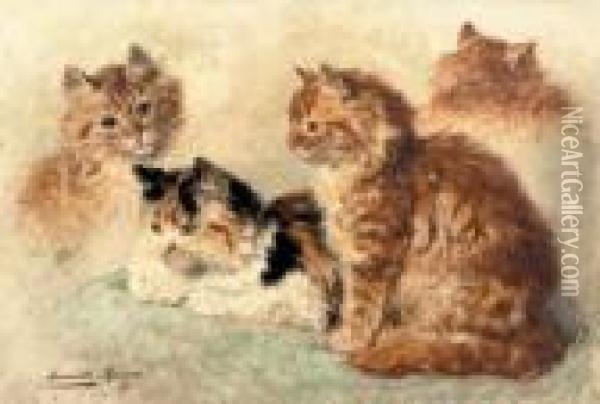 Ginger Cats - A Study Oil Painting - Henriette Ronner-Knip