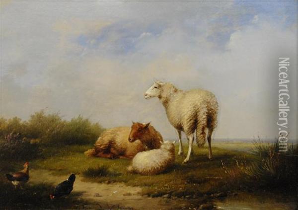 Sheep And Chickens Oil Painting - Franz van Severdonck