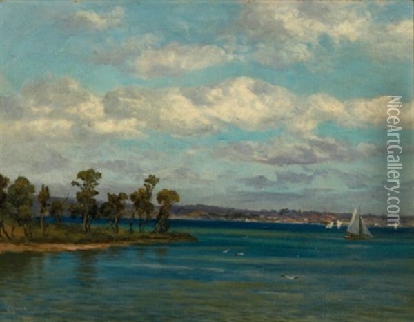 Swan River Oil Painting - James Ashton