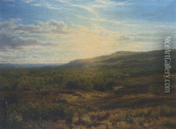 Sunset Over Heathland Oil Painting - Cornelis Lieste
