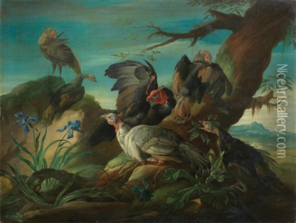 Turkeys In A Landscape; And Ducks Before A Tree (2) Oil Painting - Giorgio (Count) Durante