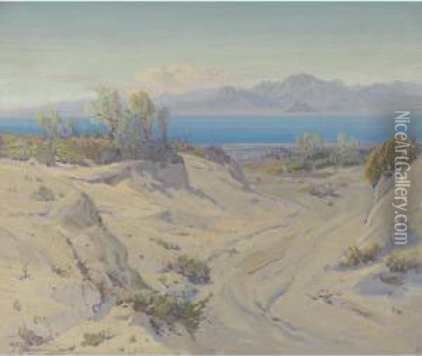 Smoke Trees At The Salton Sea Oil Painting - Fred Grayson Sayre