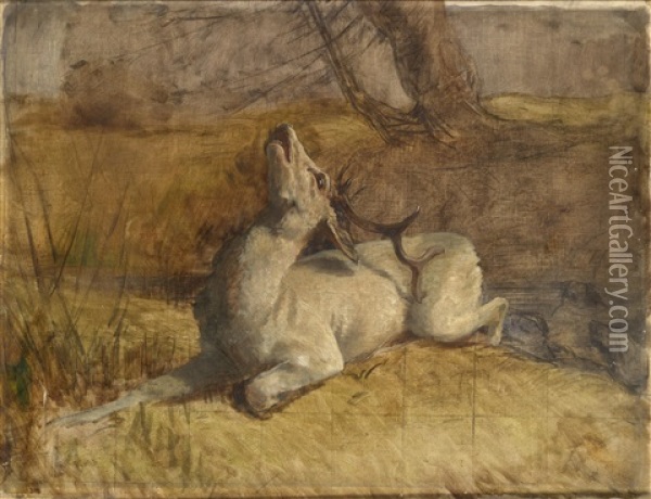 Ein Hirsch Oil Painting - Bela Pallik