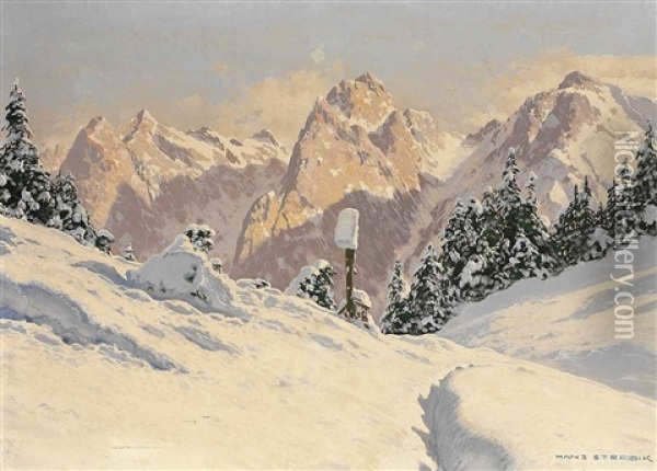 Winterliche Landschaft Im Hochgebirge An Einem Sonnigen Tag Oil Painting - Hans Sterbik