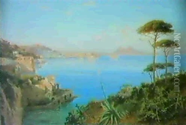 Il Golfo Di Napoli Da Posillipo Oil Painting - Alessandro la Volpe