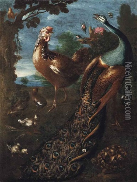 A Peacock, A Cockerel, A Tortoise And Other Birds In A Landscape Oil Painting - Marmaduke Cradock