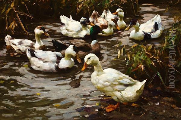 The Duck Pond Oil Painting - Alexander Max Koester