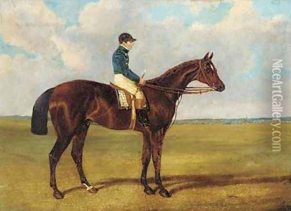 A bay racehorse with jockey up Oil Painting - John Frederick Herring Snr