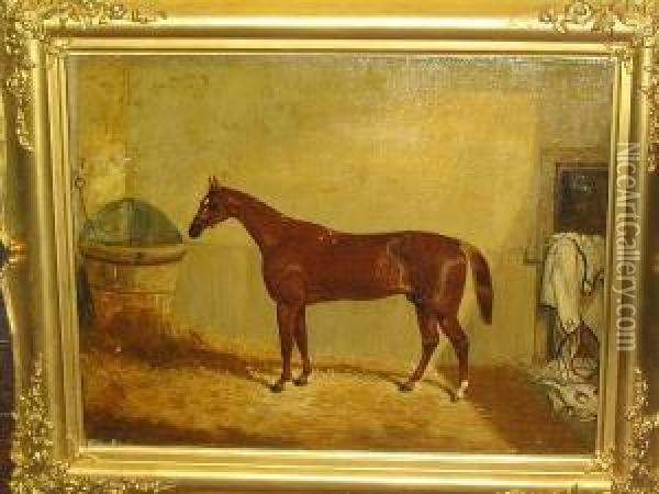 'daniel O'rourke' - A Chestnut Race Horse Oil Painting - Thomas W. Bretland