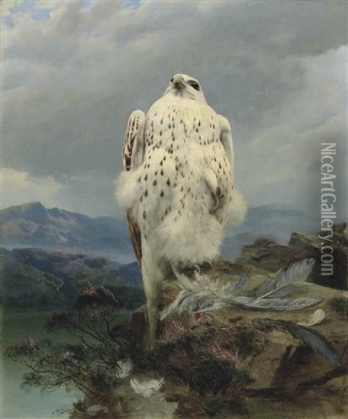 A Gyrfalcon In An Extensive Mountainous Landscape Oil Painting - Joseph Wolf
