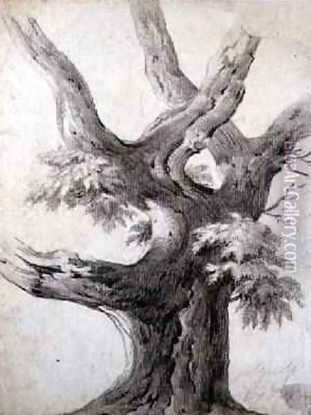 Study of a Tree 1823 Oil Painting - Alphonse Nicolas Michel Mandevare