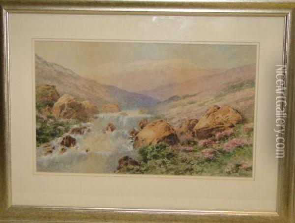 Mountain Stream Oil Painting - Vincent Blatter