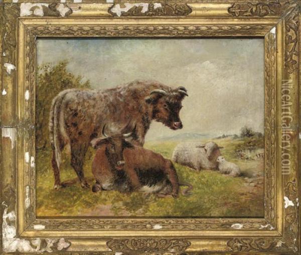 Cattle And Sheep In A Landscape Oil Painting - William Huggins