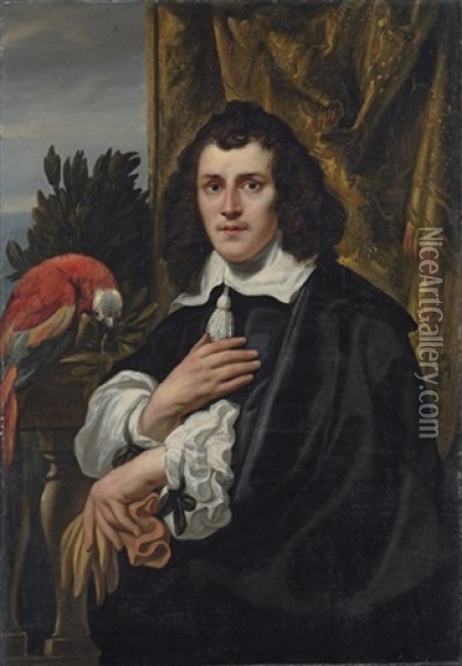 Portrait Of A Young Man In Black Doublet And Cloak With White Collar And Sleeves, Holding A Pair Of Gloves Oil Painting - Jacob Jordaens