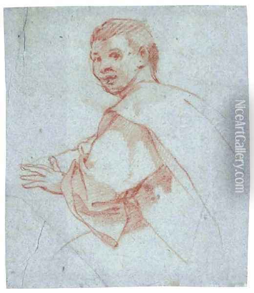 Study of a young man Oil Painting - Bartolomeo Cesi