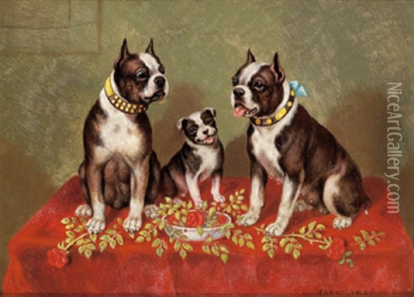 Boston Terrier Oil Painting - Harry Lyman