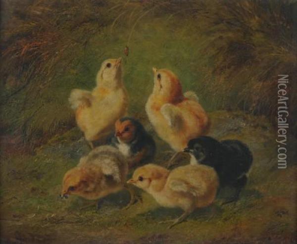 Baby Chicks Oil Painting - Arthur Fitzwilliam Tait