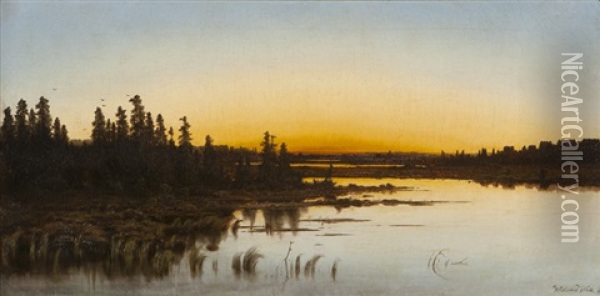 Marsh Landscape At Sunset Oil Painting - Willibald Wex
