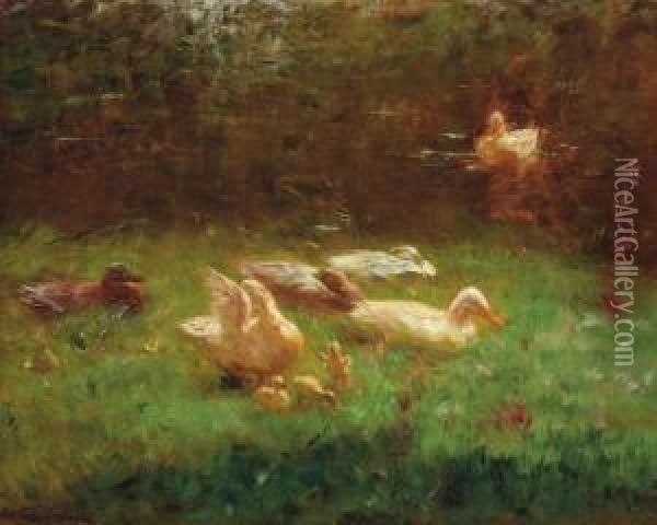 Ducks In The Grass Oil Painting - Willem Maris