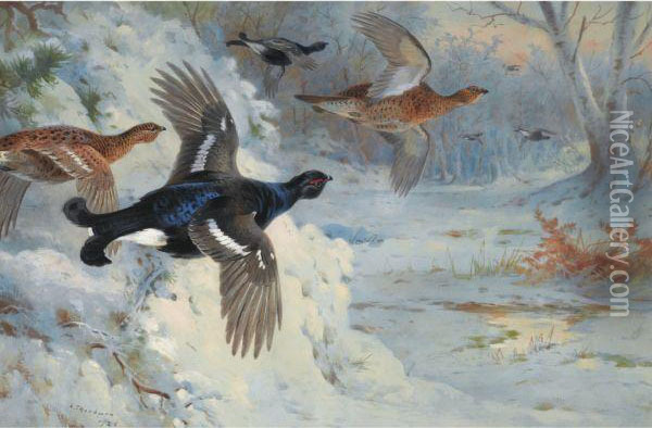 Through The Snowy Coverts-blackgame Oil Painting - Archibald Thorburn
