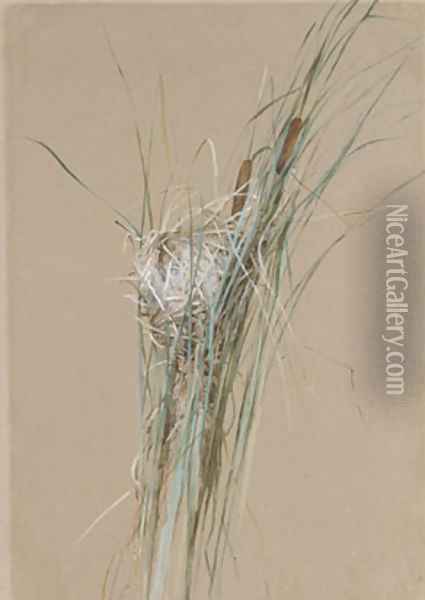 Bird's Nest in Cattails Oil Painting - Fidelia Bridges