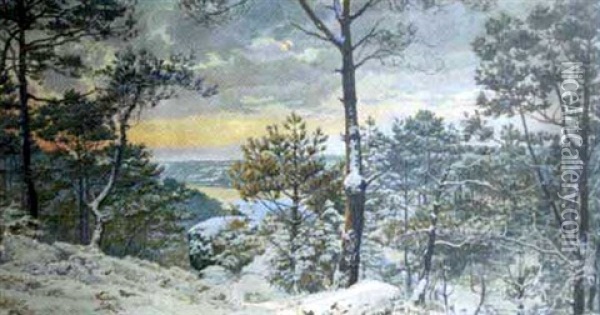 Le Bois De St-pierre A Longuivy Oil Painting - Lucien Ott