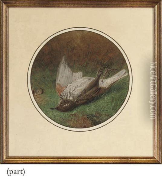 A Chaffinch; And A Thrush (a Pair) Oil Painting - Benjamin, Ben Hold