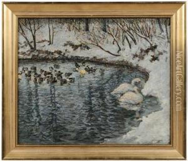 Ducks And Swans On Pond, Winter Oil Painting - Peter Schmauss