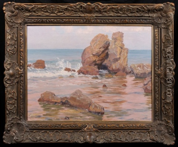 The Coast At Livorno Oil Painting - Jaroslav Spillar