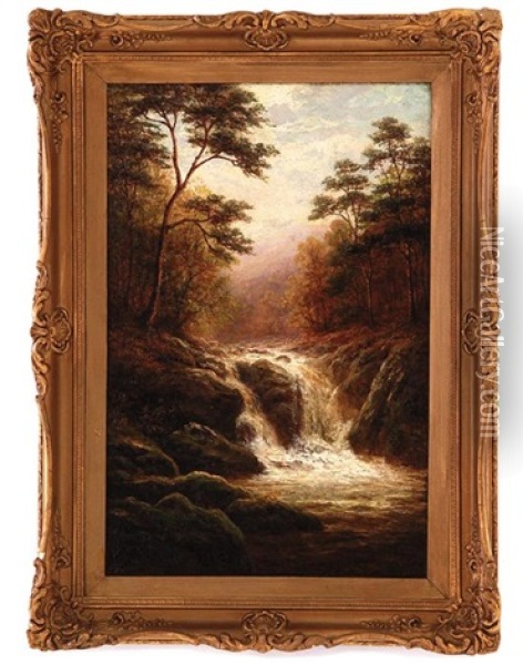 Falls On The River Llugwy, North Wales Oil Painting - William Mellor
