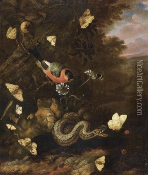 Waldstilleben Mit Schlange, Schmetterlingen, Hummel Und Vogel Oil Painting - Otto Marseus van Schrieck