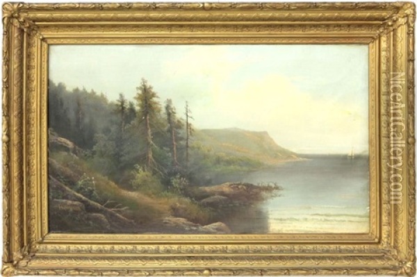 Lake View Oil Painting - Peter Hanson