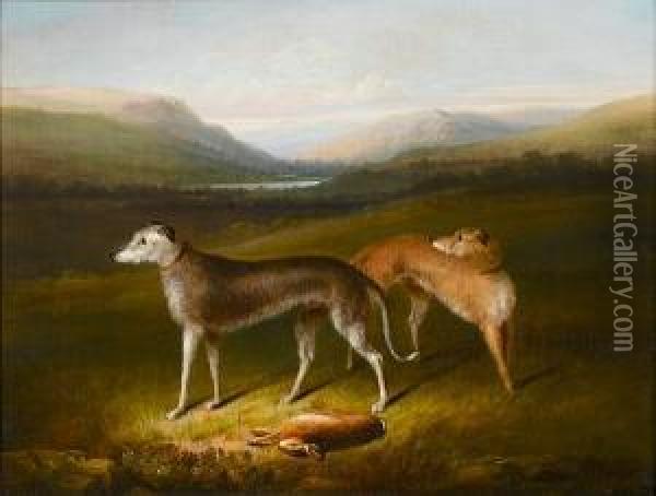 Irish Wolf Hounds In A Landscape Oil Painting - Alexander F. Rolfe