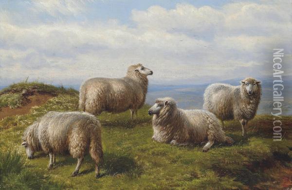 Sheep On The Hill Oil Painting - Charles Jones