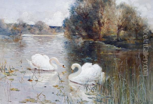 A River Landscape With Swans Oil Painting - Alfred E Bailey