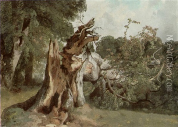 Umgesturzter Baum Oil Painting - Alexandre Calame