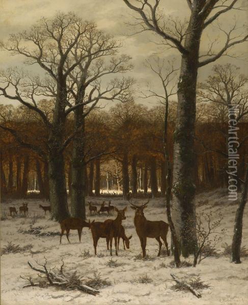 Rotwild Im Winterwald Oil Painting - Caesar Bimmermann