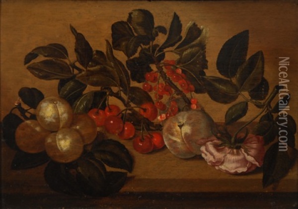 Prunes, Cerises, Groseilles, Peche Et Rose Sur Un Entablement Oil Painting - Bartholomeus Assteyn
