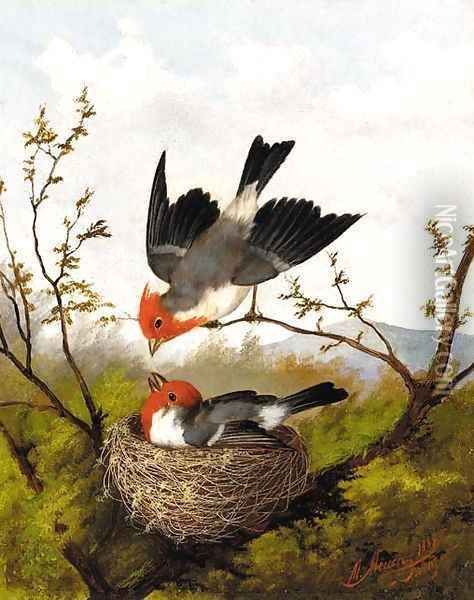 The cardinal's nest Oil Painting - Michaelangelo Meucci