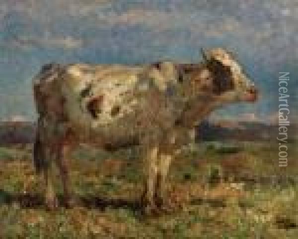 Il Toro - 1921 Oil Painting - Beppe Ciardi