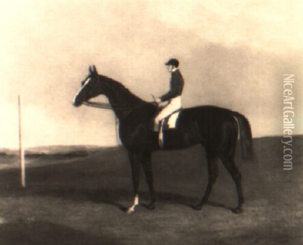 A Racehorse With Jockey Up Oil Painting - Richard Dodd Widdas