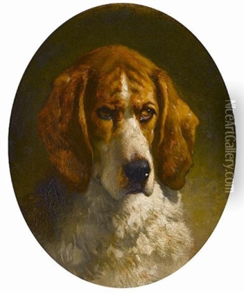 Study Of A Hound Oil Painting - George Earl