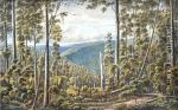 Forest Cape, Otway Ranges Oil Painting - Eugene von Guerard
