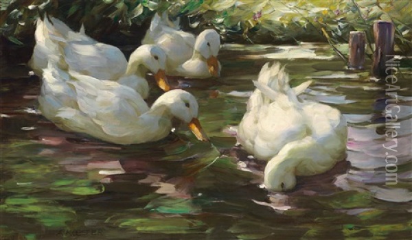 Four Ducks On The Pond Oil Painting - Alexander Max Koester
