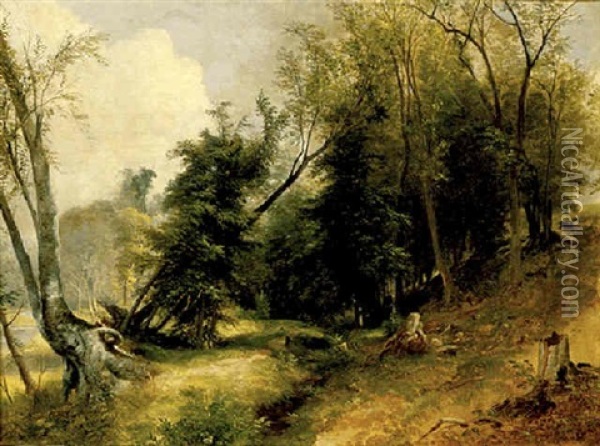 View From The Woodlands Oil Painting - Asher Brown Durand
