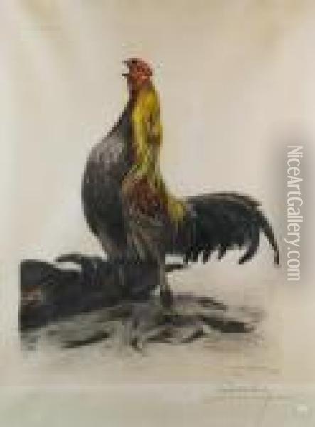 Coq Oil Painting - Leon Danchin
