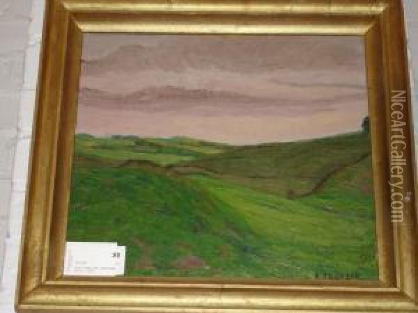 'graskladda Backar'. 34x37 Oil Painting - Ellen Trotzig