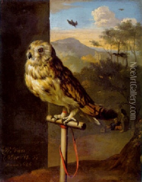 An Owl On A Perch Oil Painting - Willem van Mieris